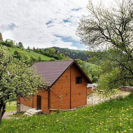 Villa Grace Oryavchyk Εξωτερικό φωτογραφία